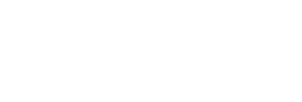 This image has an empty alt attribute; its file name is SwITchDDS_Inverted-1024x1024.png